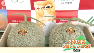 Two Melons Just Sold For $29,000 In Japan<em></em>
